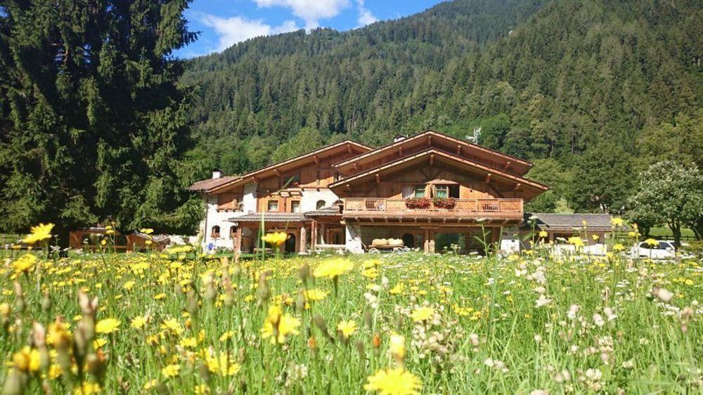 Hotel Maso Del Brenta Caderzone Dış mekan fotoğraf