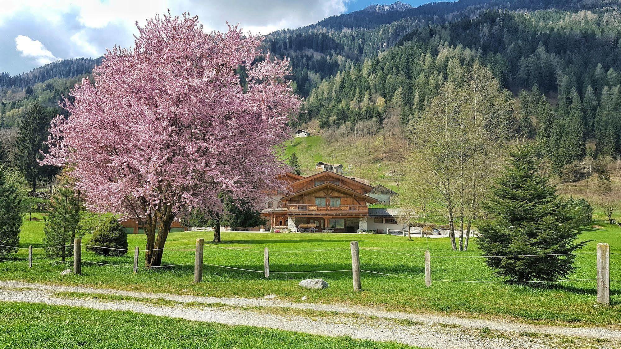 Hotel Maso Del Brenta Caderzone Dış mekan fotoğraf